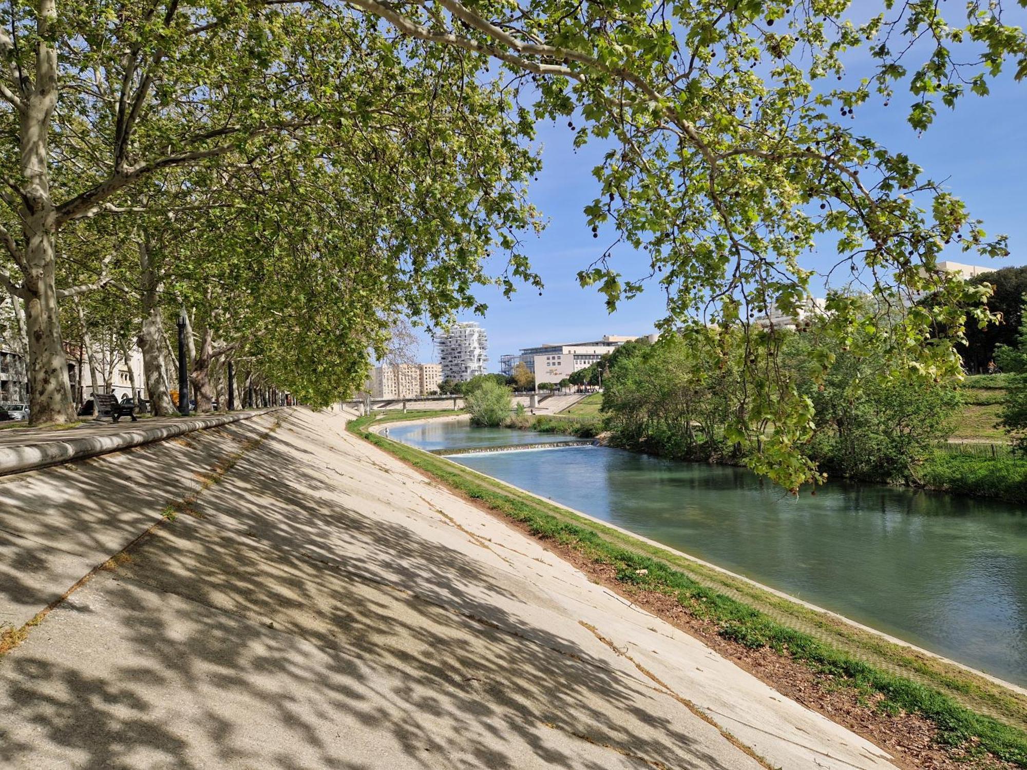 Appartement Avec Vue Sur Le Lez Montpellier Eksteriør billede